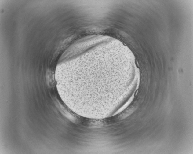 X0000070390624200607072221