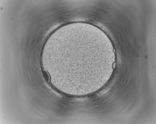 X0000070390625200607072220