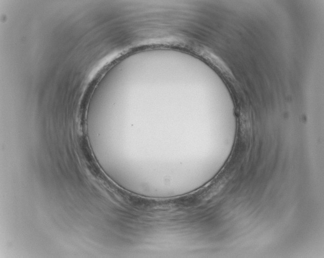 X0000070390628200607072220