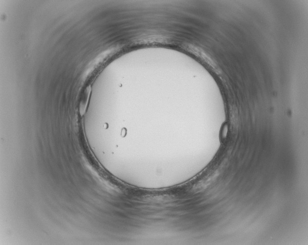 X0000070390629200607072220