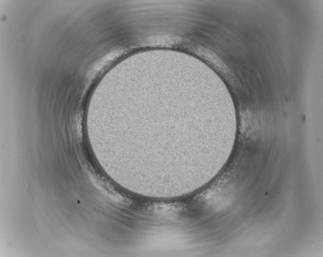 X0000070390632200607072220