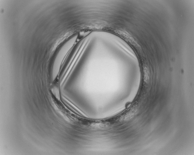 X0000070390634200607072220