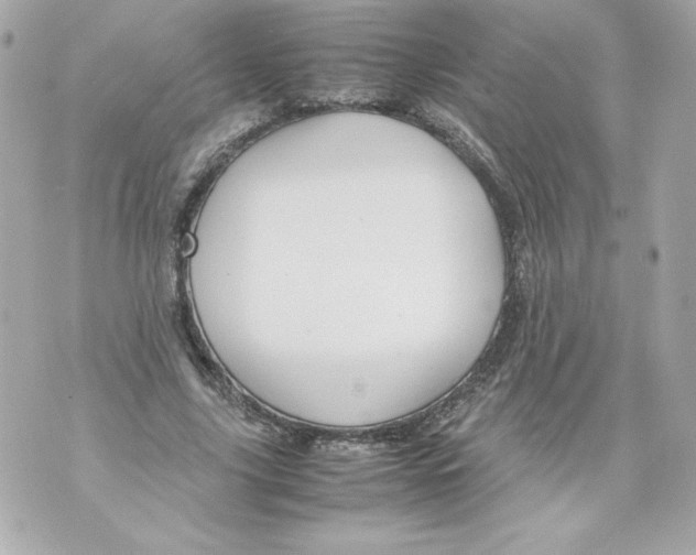 X0000070390635200607072220