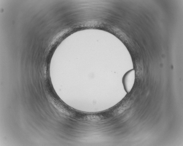 X0000070390636200607072220