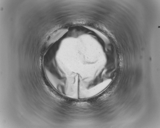 X0000070390637200607072220