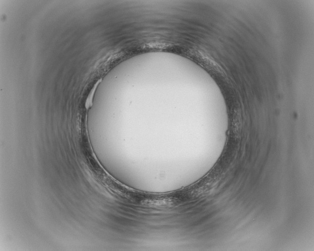 X0000070390639200607072220