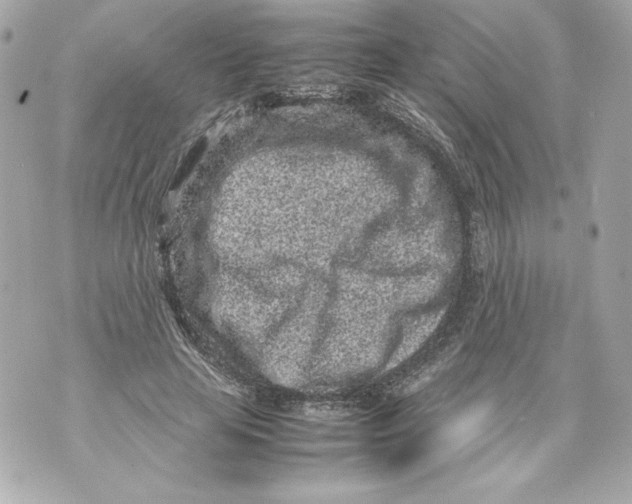 X0000070390641200607072220