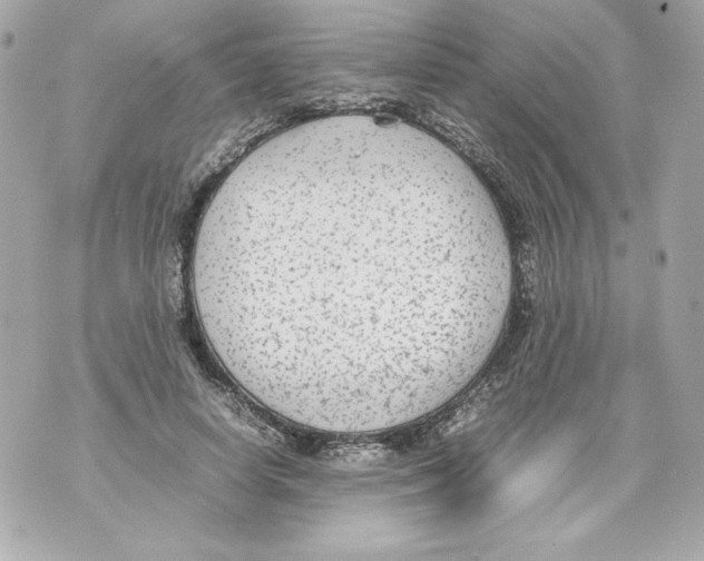 X0000070390642200607072220