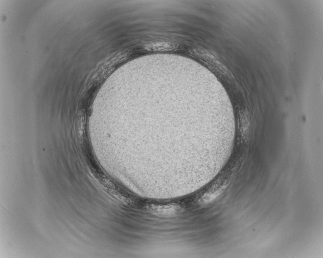 X0000070390645200607072220