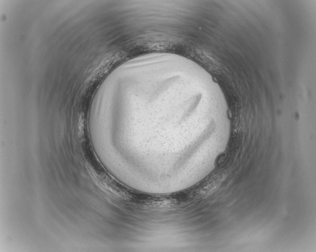 X0000070390646200607072220