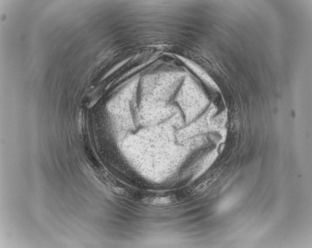 X0000070390647200607072220