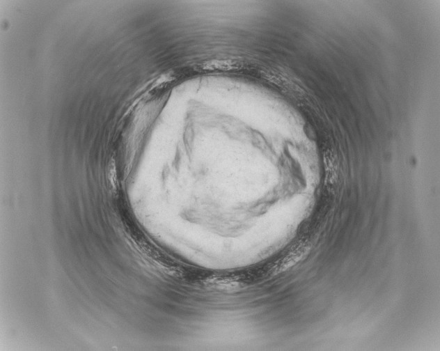 X0000070390648200607072220