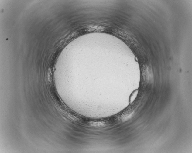 X0000070390649200607072220