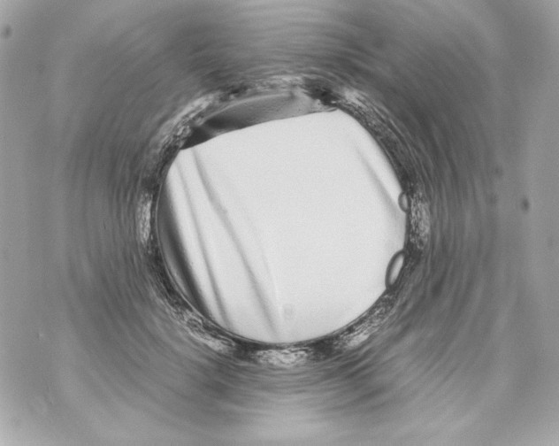 X0000070390652200607072220