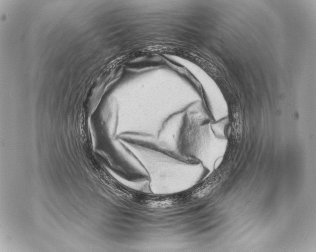 X0000070390653200607072220