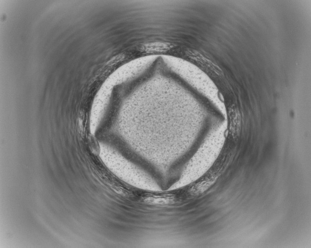 X0000070390655200607072220