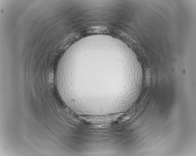 X0000070390657200607072220