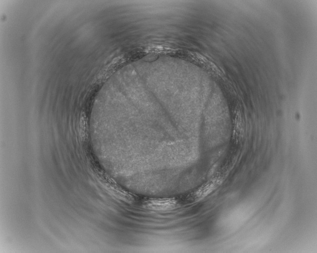 X0000070390659200607072220