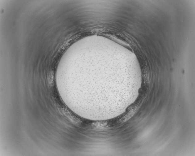 X0000070390660200607072220