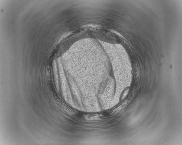 X0000070390661200607072220