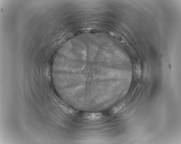 X0000070390663200607072220