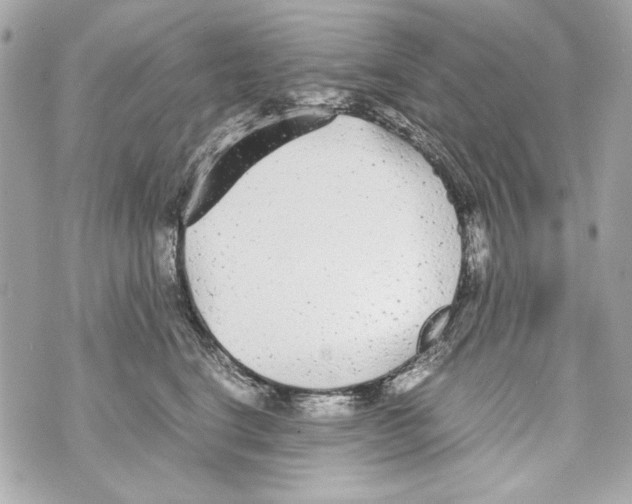 X0000070390664200607072220