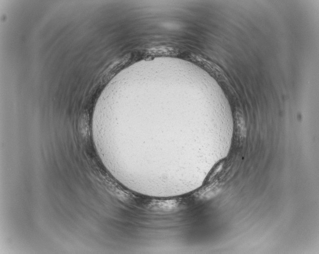 X0000070390665200607072220