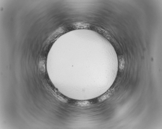 X0000070390666200607072220