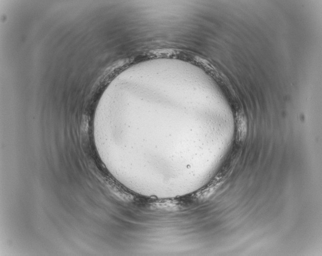 X0000070390668200607072220