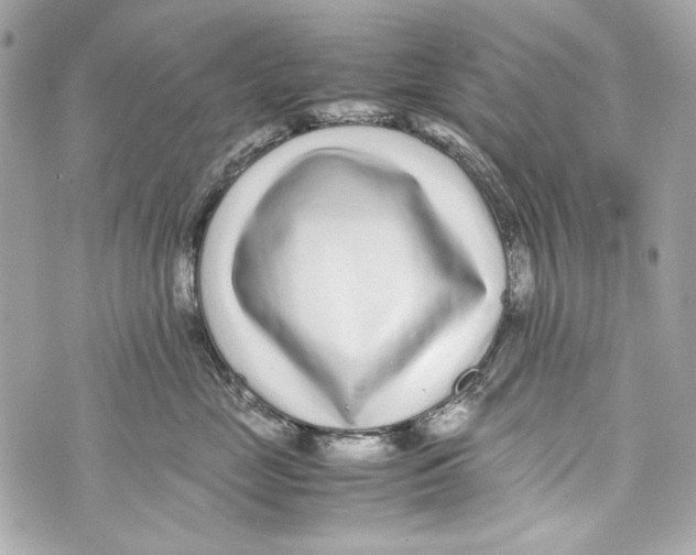 X0000070390669200607072220