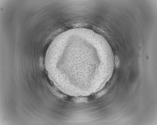 X0000070390670200607072220