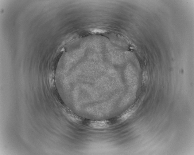 X0000070390671200607072220