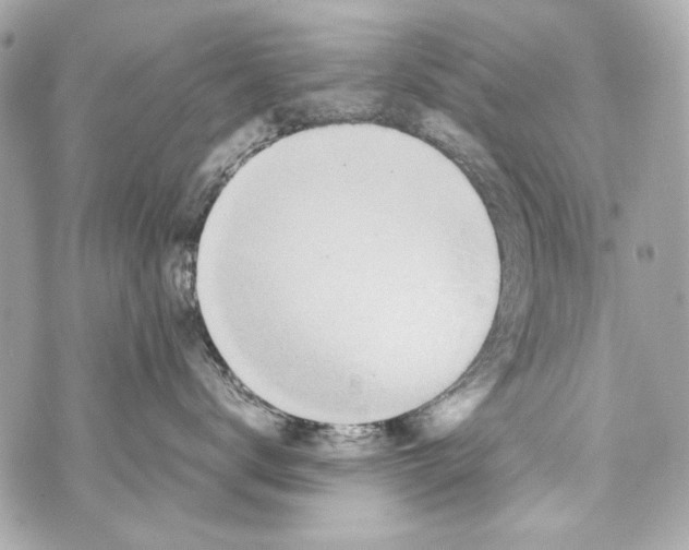 X0000070390672200607072220