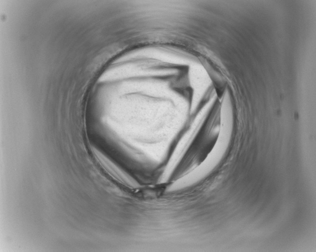 X0000070390673200607072220