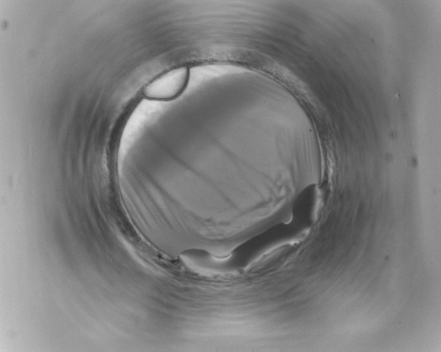 X0000070390674200607072220