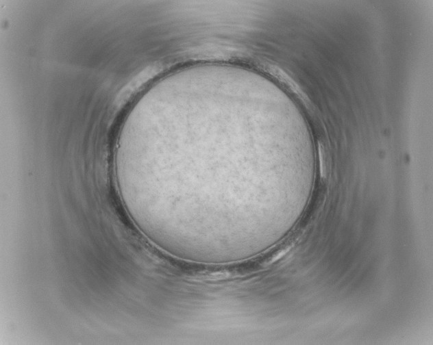 X0000070390675200607072220