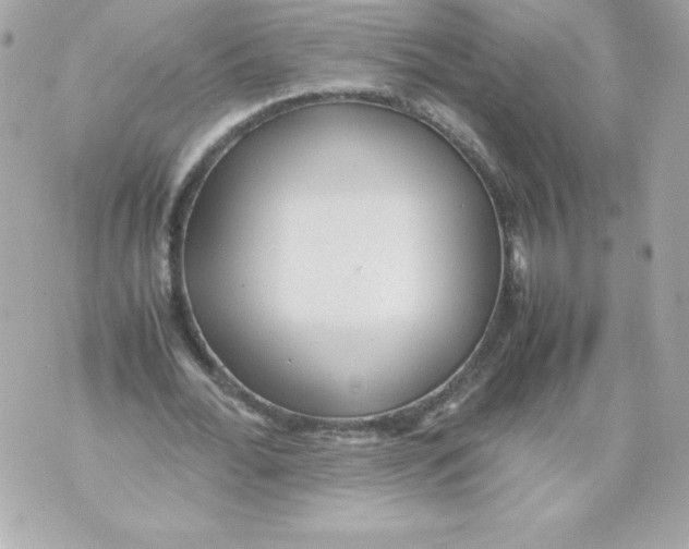 X0000070390676200607072220