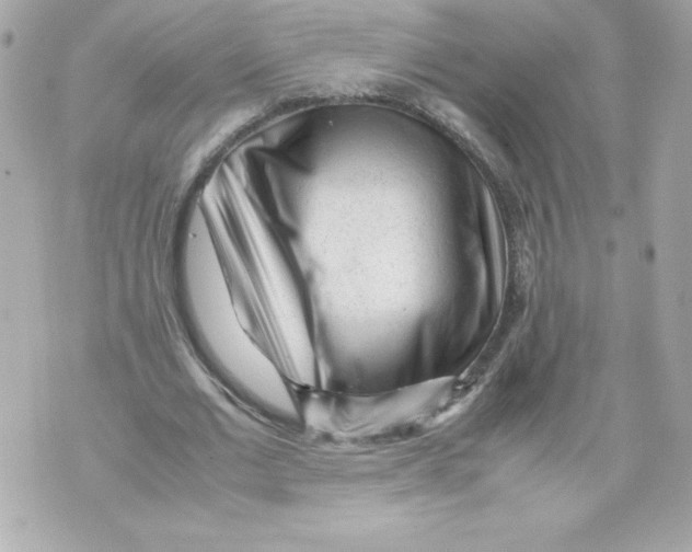 X0000070390677200607072220