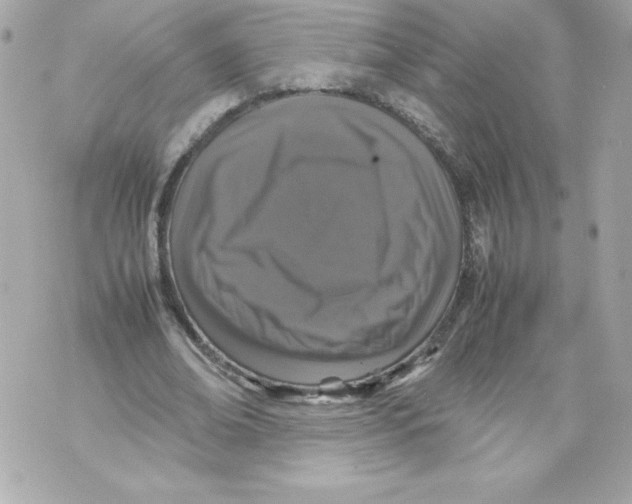 X0000070390678200607072220