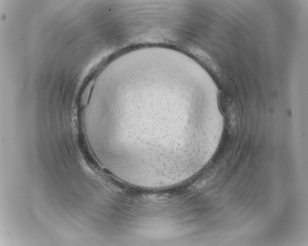 X0000070390680200607072220