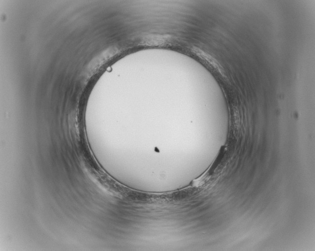 X0000070390682200607072220