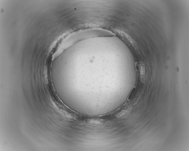 X0000070390684200607072220