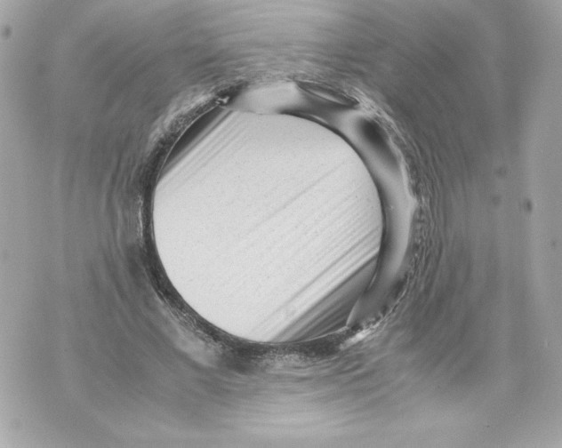 X0000070390685200607072220