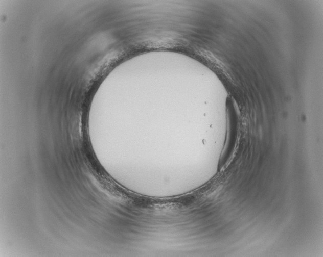 X0000070390686200607072219