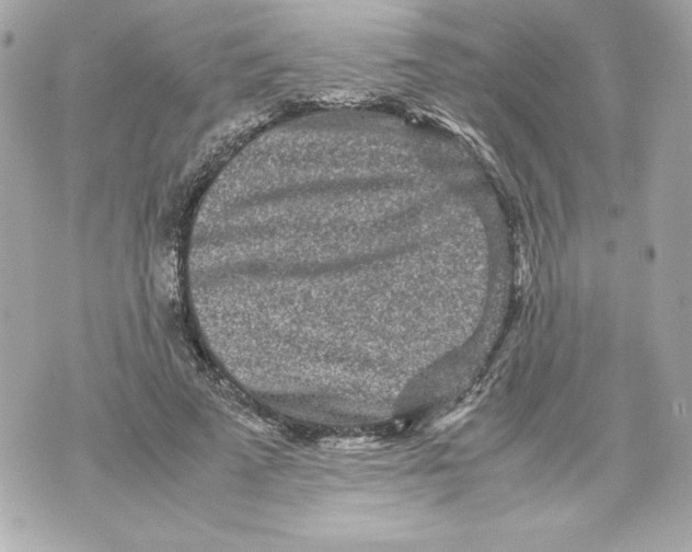 X0000070390689200607072219