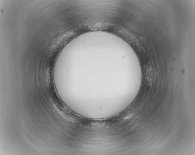 X0000070390690200607072219