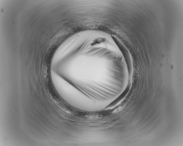 X0000070390693200607072219