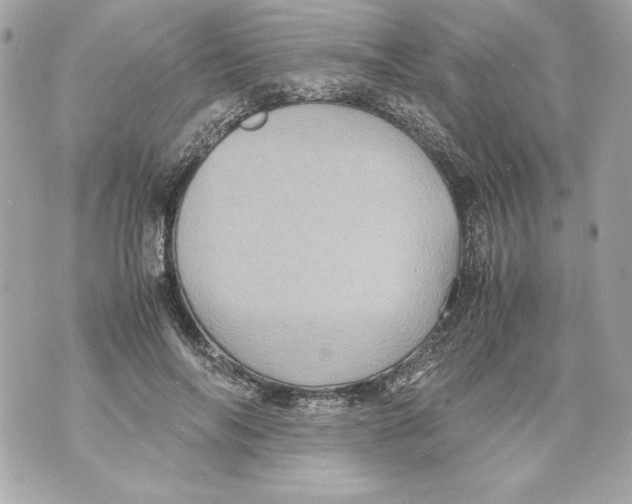 X0000070390694200607072219