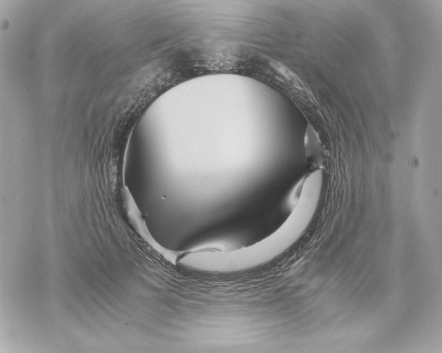 X0000070390697200607072219