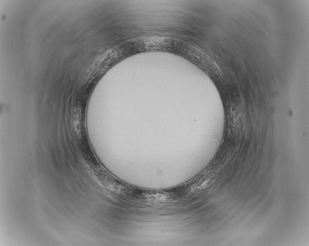 X0000070390698200607072219